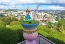 Chimarrão decorado ganha espaço entre os catarinenses