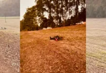 Motociclista é arremessado 40 metros após acidente em SC