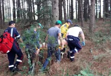 Homem fica ferido após queda de árvore em Santa Cecília