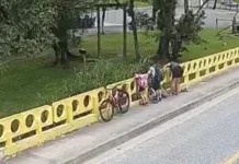 Mulher é denunciada por jogar cão de ponte pelo MPSC