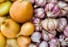 Boletim Agropecuário de abril traz alta do alho e da cebola