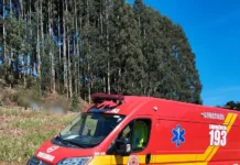 Homem morre atingido por eucalipto em Tangará