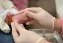 SC amplia Teste do Pezinho para detectar toxoplasmose