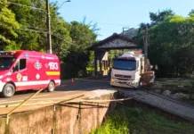 Idoso e cachorro morrem atropelados por caminhão em Treze Tílias