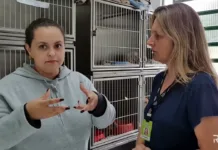 Caçador registra 55 casos de maus-tratos a animais em 2024