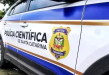Homem morre após levar cabeçadas de touro em SC