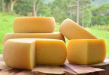 Projeto da Epagri valoriza e qualifica queijos artesanais de SC