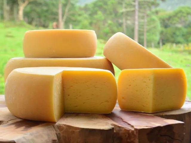 Projeto da Epagri valoriza e qualifica queijos artesanais de SC