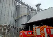 Trabalhadores caem em silo de soja e morrem soterrados