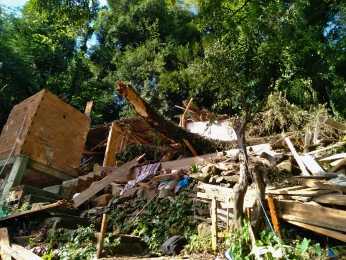 Queda de árvore de 20 metros destrói casa em Videira