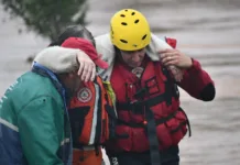 Bombeiros de SC salvam 600 vidas entre pessoas e animais