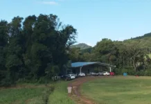 Piloto de parapente sofre queda na hora do pouso
