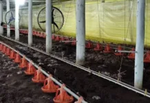 Chuvas paralisaram ao menos dez frigoríficos no RS