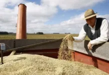 SC é o estado com a economia que mais cresce entre o Sul e Sudeste