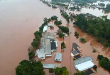 Setor de aves do RS tem prejuízo de R$ 182,9 milhões por chuvas