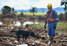 Bombeiros de SC realizam buscas em áreas de deslizamentos