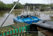 Bombas para escoar água entram em operação em Porto Alegre