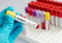 SC registra mais de 2.130 casos prováveis de dengue em 2025