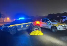 50 kg de cocaína são encontrados em caminhão de donativos para o RS