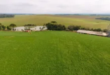 Epagri ganha Prêmio de Ecologia por agricultura regenerativa e terraceamento