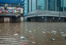 Leptospirose se alastra pelo RS e preocupa autoridades