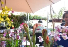 Inicia o Desenrola para MEI e micro e pequenas empresas