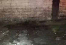 Mulheres brigam em festa e uma acaba morta em SC