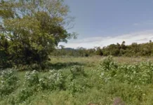 Quatro crianças se perdem e resgate dura 8 horas em trilha de SC