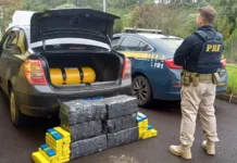 PRF localiza 150 kg de maconha na BR-282 em Catanduvas