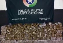 Polícia apreende 47 kg de drogas em empresa de político de SC