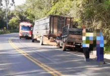 Acidente entre camionete e caminhão deixa uma pessoa ferida