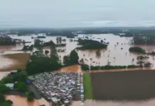 Indústrias de aves e suínos do RS têm retorno gradativo