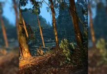 Tornado atinge cidade do Oeste catarinense na quinta (02)