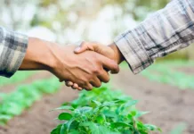 SAR levanta oportunidades de trabalho no meio rural