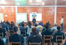 Manejo de precisão em frutas de caroço é tema de treinamento