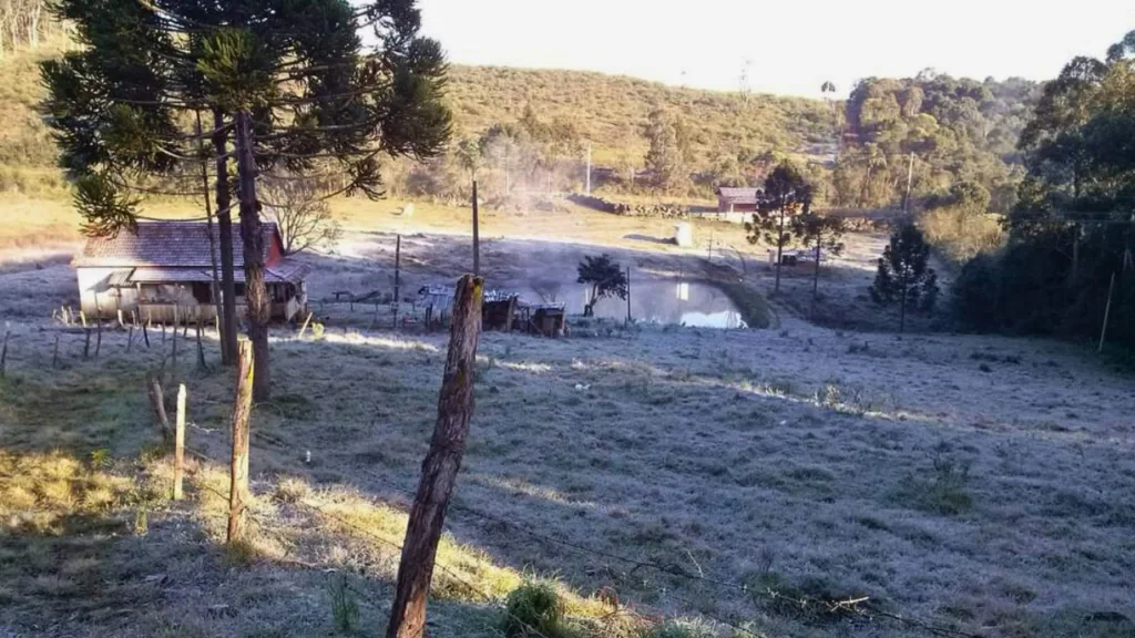 Previsão de temperaturas negativas exigem cuidados especiais