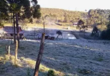 Previsão de temperaturas negativas exigem cuidados especiais