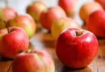 Fraiburgo vive expectativa para o 18º Enfrute