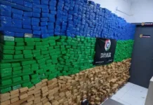 Polícia apreende duas toneladas de maconha na Grande Florianópolis