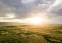 SAR desenvolve ações direcionadas às culturas de inverno