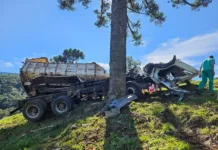 Caminhão capota e colide em pinheiro na SC-355