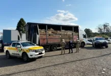 Carga milionária de cosméticos é apreendida