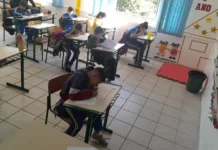 Macieira entre os melhores índices de alfabetização da Amarp