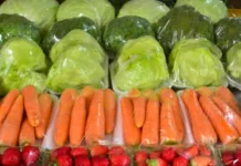 Epagri disponibiliza capacitação on-line sobre hortaliças orgânicas