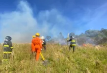 Bombeiros Voluntários controlam incêndio em vegetação