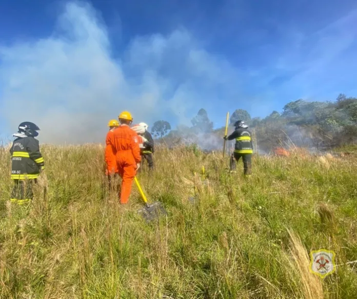 Bombeiros Voluntários controlam incêndio em vegetação