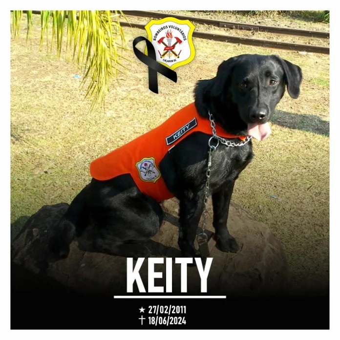Bombeiros Voluntários de Caçador lamentam a partida da cadela Keity