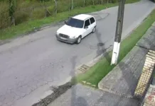 Flagrante de cão sendo abandonado em cidade catarinense