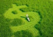 Produtores rurais terão palestra sobre controles financeiros