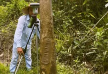 Divisas de SC com PR serão revisadas após ganho de território